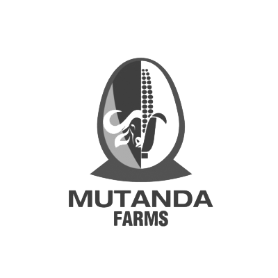 Logo Mutanda grey